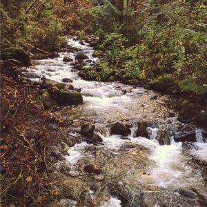 Meet your Posher, Gillian